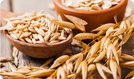 Oatmeal (AVENA SATIVA) protein extract